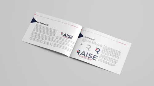 design charte garphique raise consulting belgique