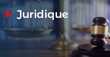 organisation consultance juridique raise consulting belgique