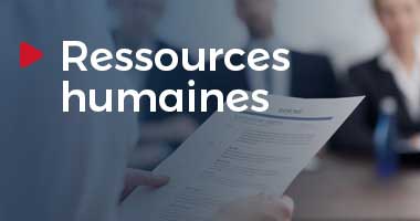 organisation consultance ressources humaines raise consulting belgique