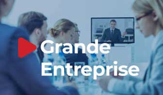 services grandes entreprises raise consulting belgique